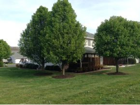 34 Timber Ridge Road Bristol, VA 24201 - Photo 23 of 23 Photo 23