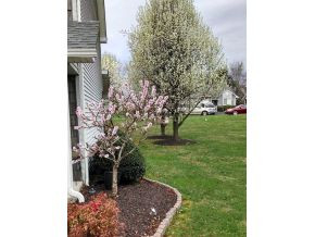 34 Timber Ridge Road Bristol, VA 24201 - Photo 3 of 23 Photo 3