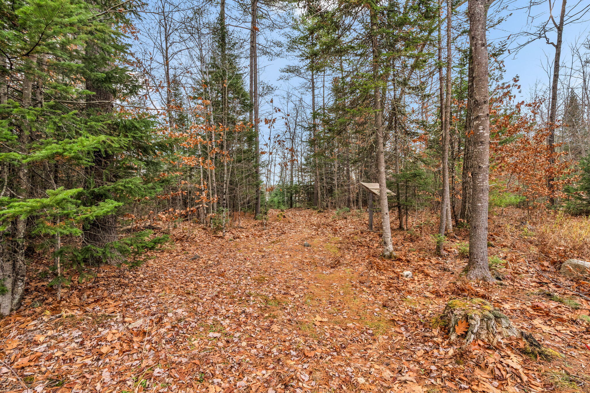 180 Lambert Road Skowhegan, ME 04976 - Photo 32 of 38 14-web-or-mls-180-lambert-rd