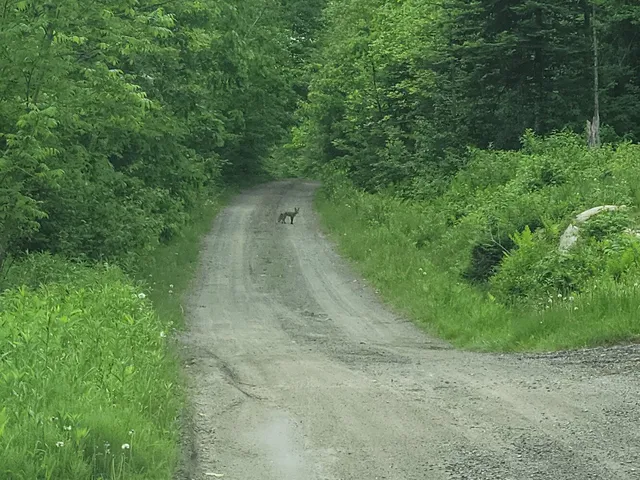 $155,000 | 180 Lambert Road, Skowhegan, ME 04976