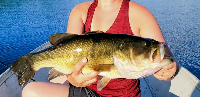 $155,000 | 180 Lambert Road, Skowhegan, ME 04976