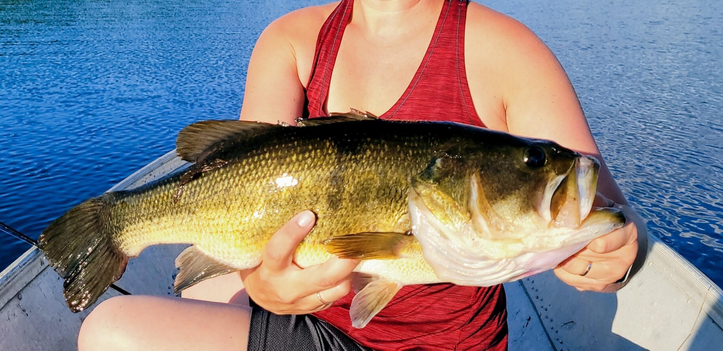 180 Lambert Road Skowhegan, ME 04976 - Photo 38 of 38 Resized_20210731_183131_01%283%29