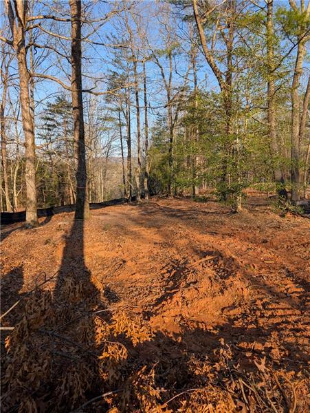0 Yahoola Road Dahlonega, GA 30533 - Photo 4 of 8 a view of a yard with trees