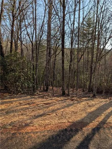 a view of outdoor space with trees