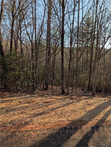 0 Yahoola Road Dahlonega, GA 30533 - Photo 7 of 8 a view of outdoor space with trees