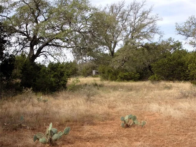 a view of a yard with a tree