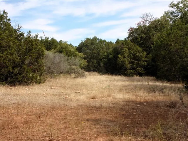 a view of mountain view with trees