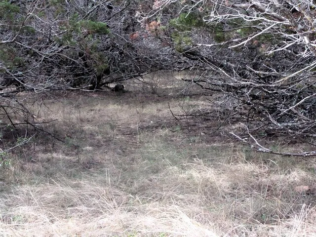 a view of an outdoor space with a tree