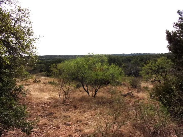 a view of a dry yard with trees