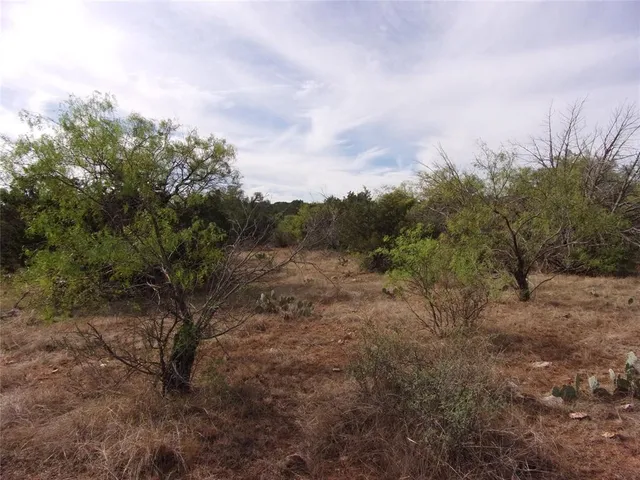 a view of a dry yard with trees in the background