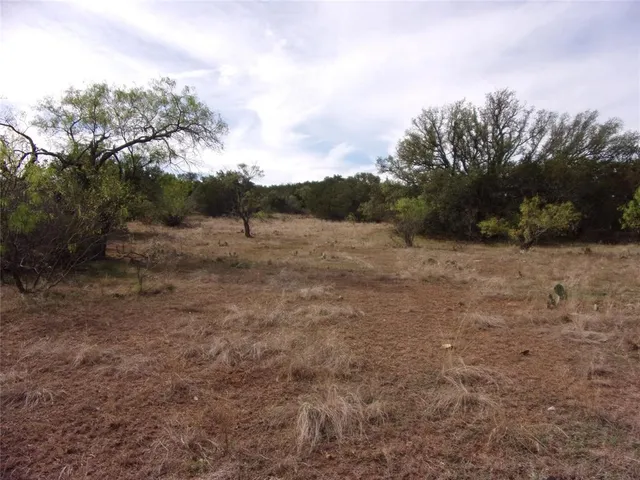 a view of dirt road with trees