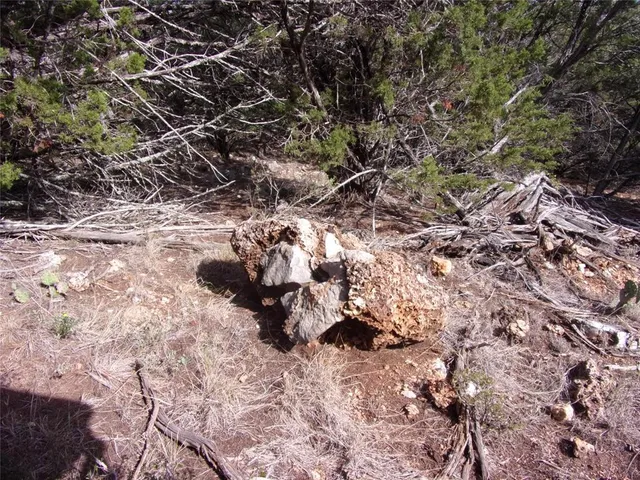 a view of a yard with a tree