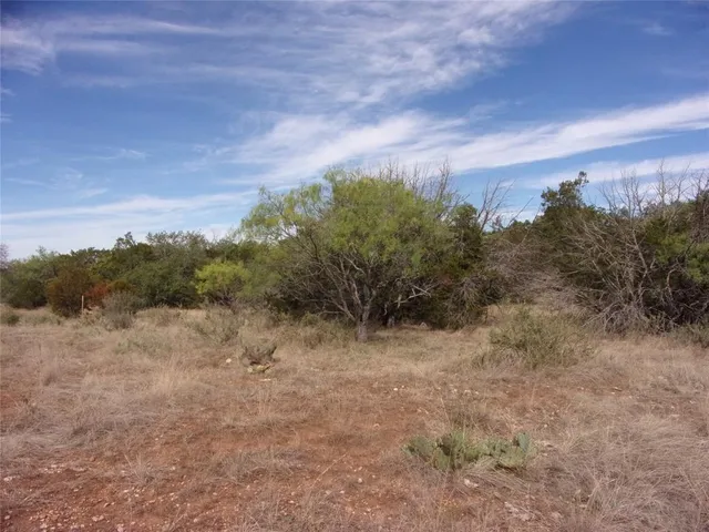 a view of a dry yard with trees in the background