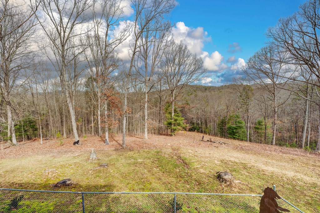 256 Boot Legger Road Morganton, GA 30560 - Photo 37 of 41