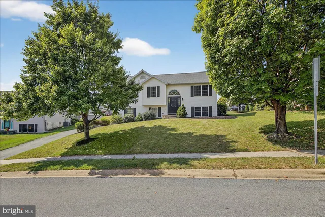 a view of house with a big yard plants and large trees