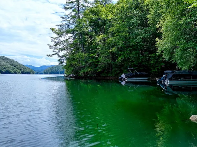 a view of a lake with a yard