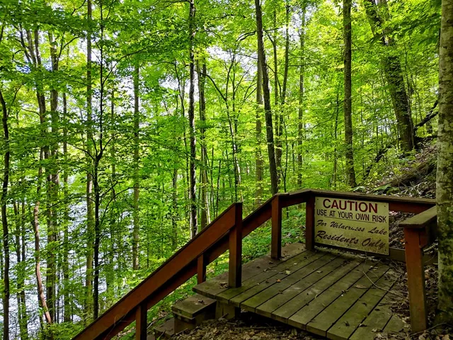 a view of a balcony with a potted plant and floor to ceiling windows