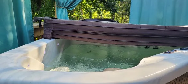 a view of a backyard with lawn chairs plants and large trees