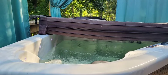 a view of a backyard with lawn chairs plants and large trees