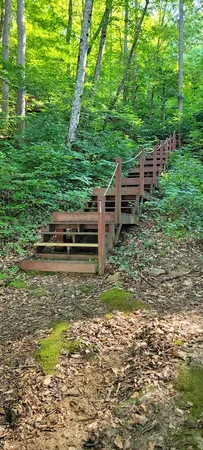 a aerial view of a house with a yard and potted plants