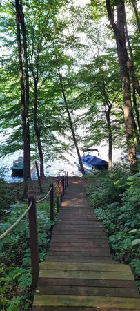 a view of a chairs setting in the backyard