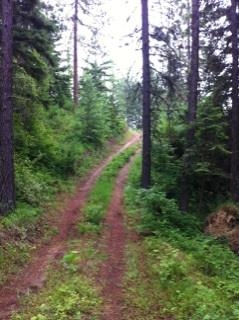 Xx Buck Creek Road Loon Lake, WA 99148 - Photo 2 of 10