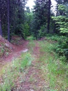 Xx Buck Creek Road Loon Lake, WA 99148 - Photo 4 of 10