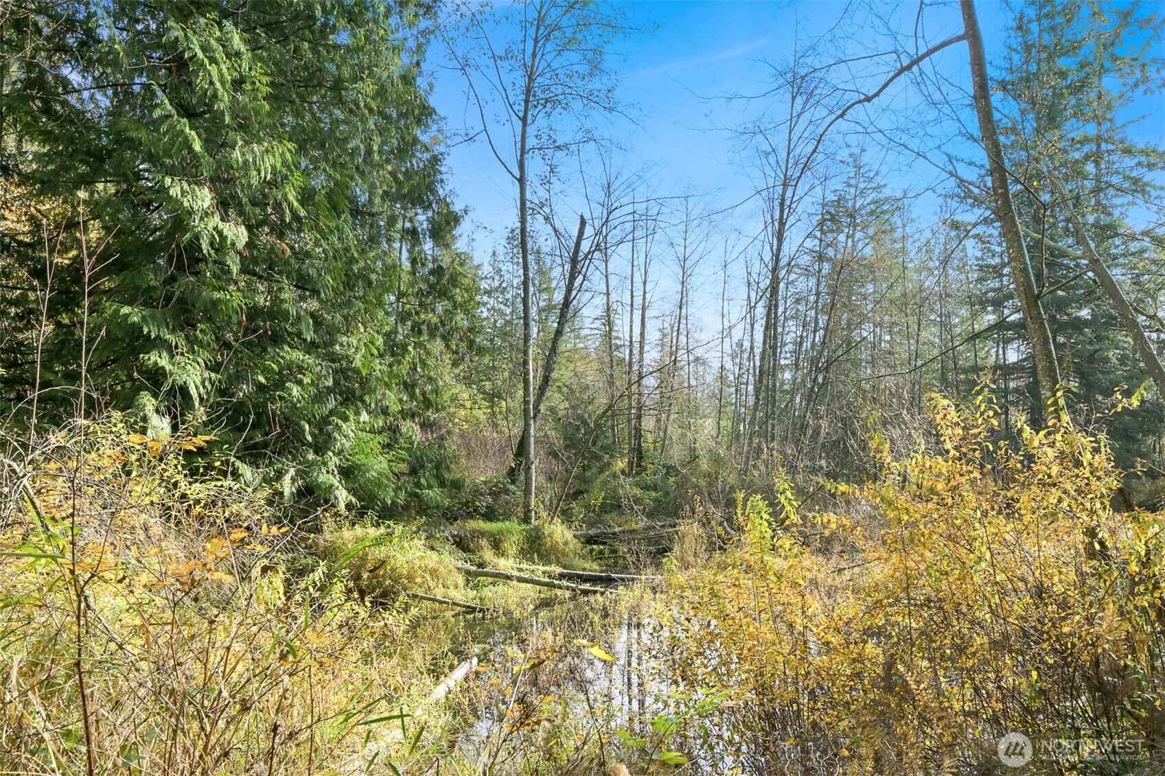 2160 H Street Road Blaine, WA 98230 - Photo 10 of 19