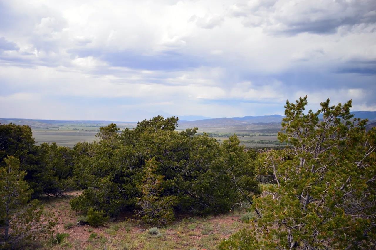 Lot 7 West Ridge Court San Luis, CO 81152 - Photo 17 of 20 a view of a bunch of trees in a field
