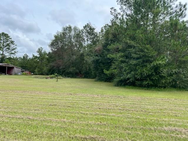 12482 161st Road Live Oak, FL 32060 - Photo 15 of 17