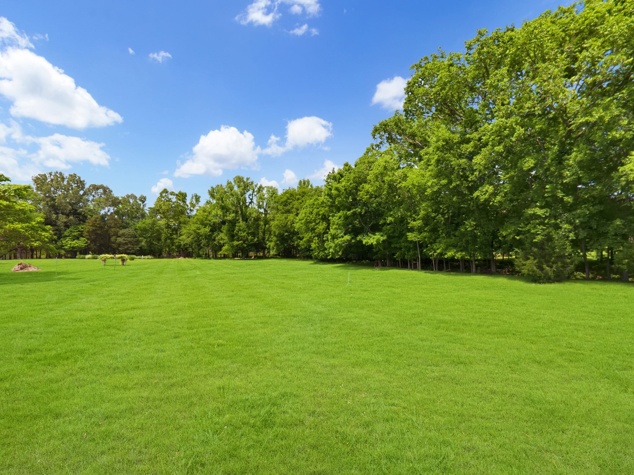 836 Prizer Point Road Cadiz, KY 42211 - Photo 49 of 82