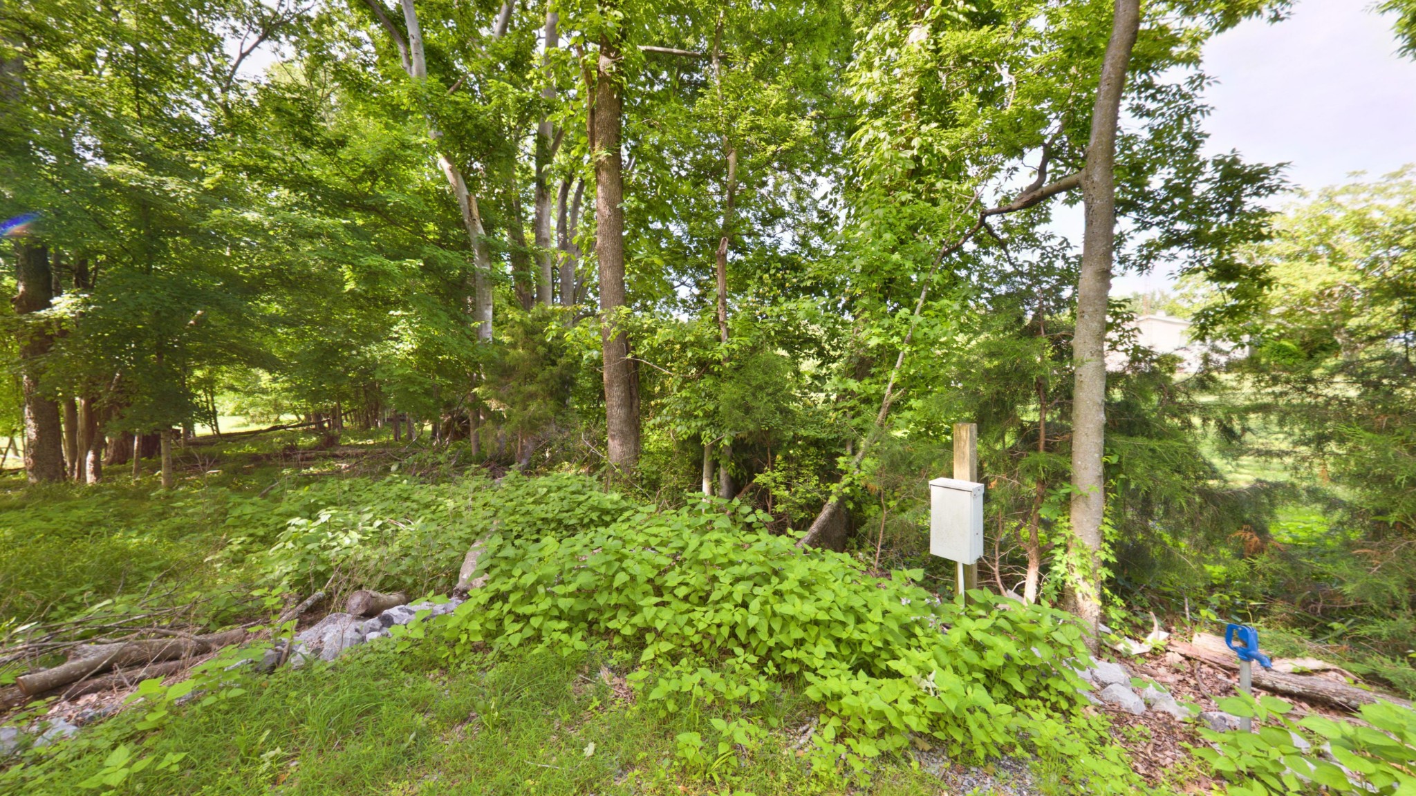 836 Prizer Point Road Cadiz, KY 42211 - Photo 50 of 82