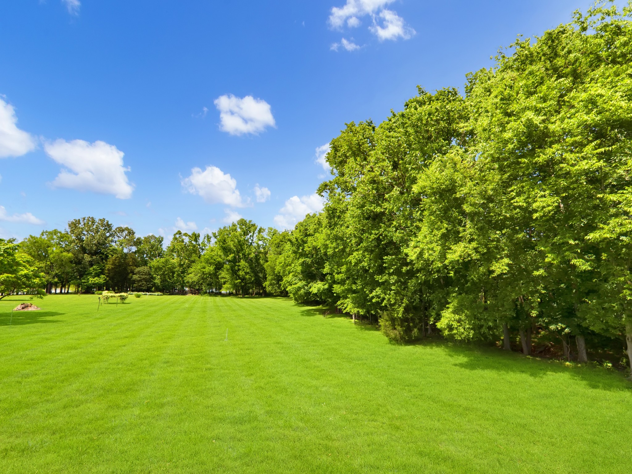 836 Prizer Point Road Cadiz, KY 42211 - Photo 56 of 82