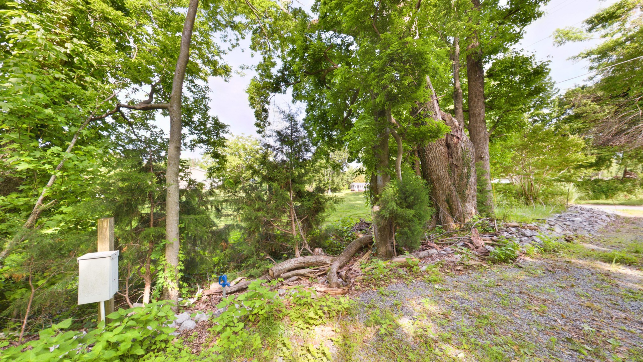 836 Prizer Point Road Cadiz, KY 42211 - Photo 80 of 82 a backyard of a house with lots of green space