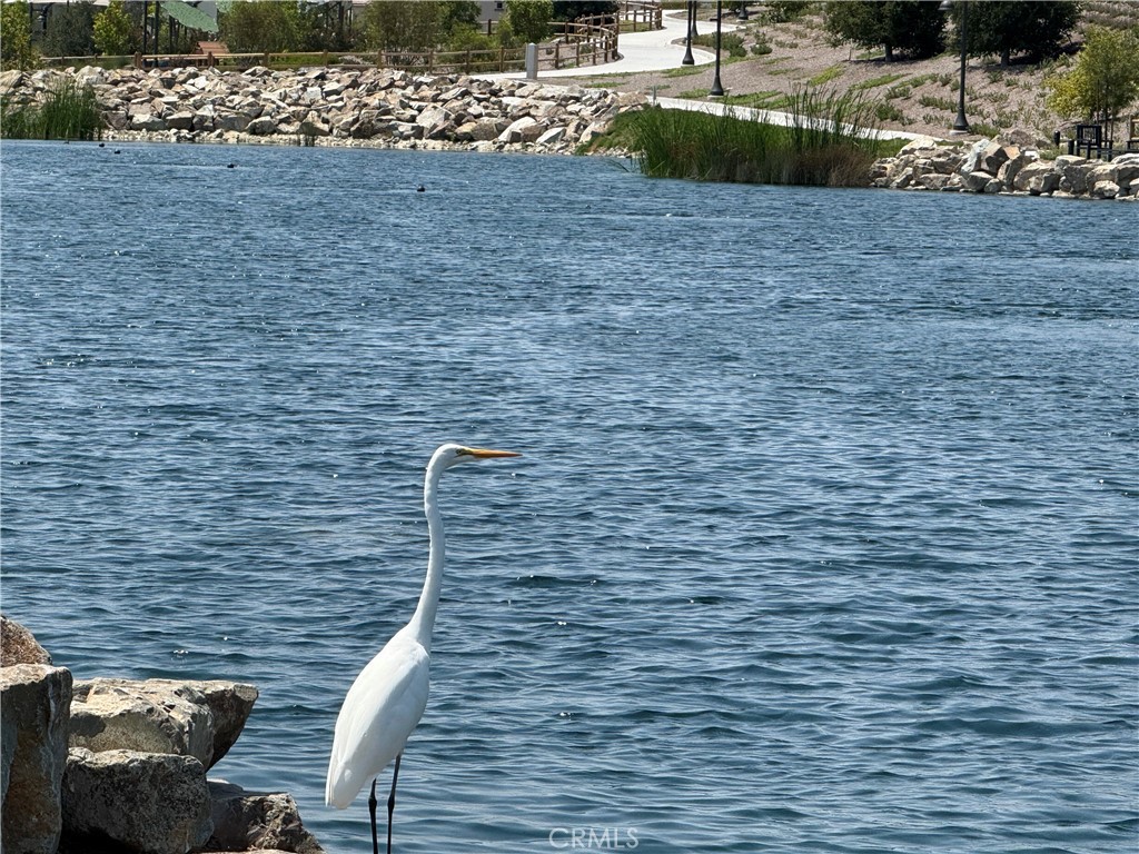 541 Jasper Street Rancho Mission Viejo, CA 92694 - Photo 13 of 20 a backyard of a house with lots of green space