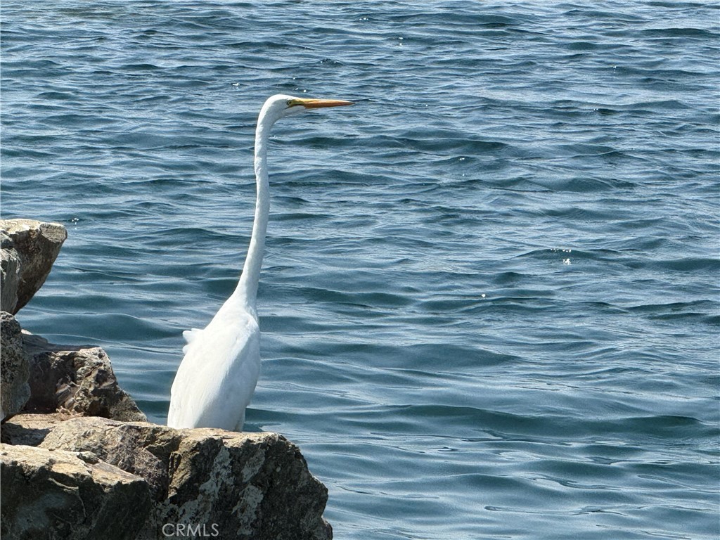 541 Jasper Street Rancho Mission Viejo, CA 92694 - Photo 20 of 20 a bedroom with a bed and a chair