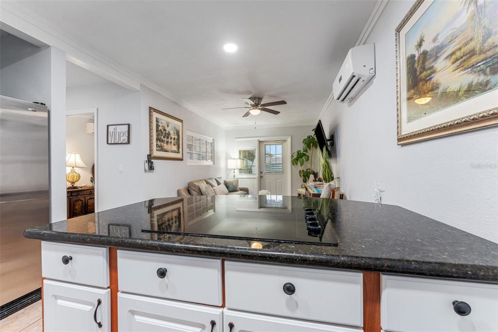 1500 Maple Street Clearwater, FL 33755 - Photo 76 of 96