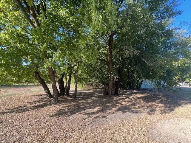 a view of a backyard with wooden fence
