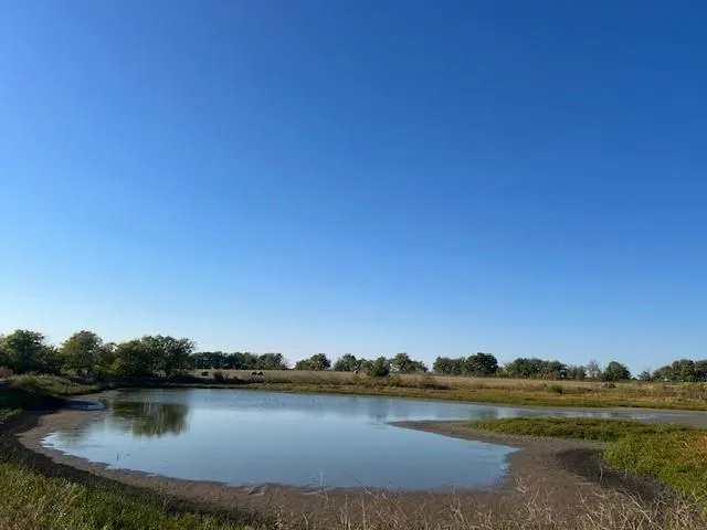 a view of an ocean beach