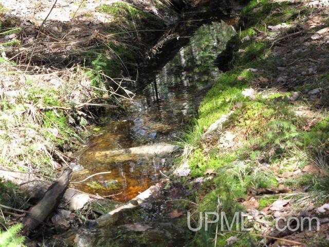 22405 Webb Road Grand Marais, MI 49839 - Photo 29 of 32 Gallery Image 29