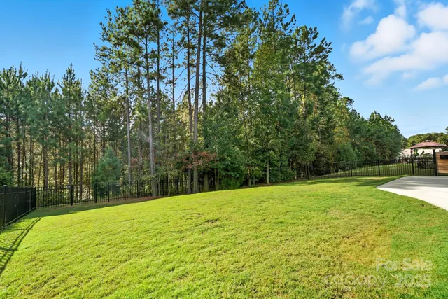 a view of a yard with a trees