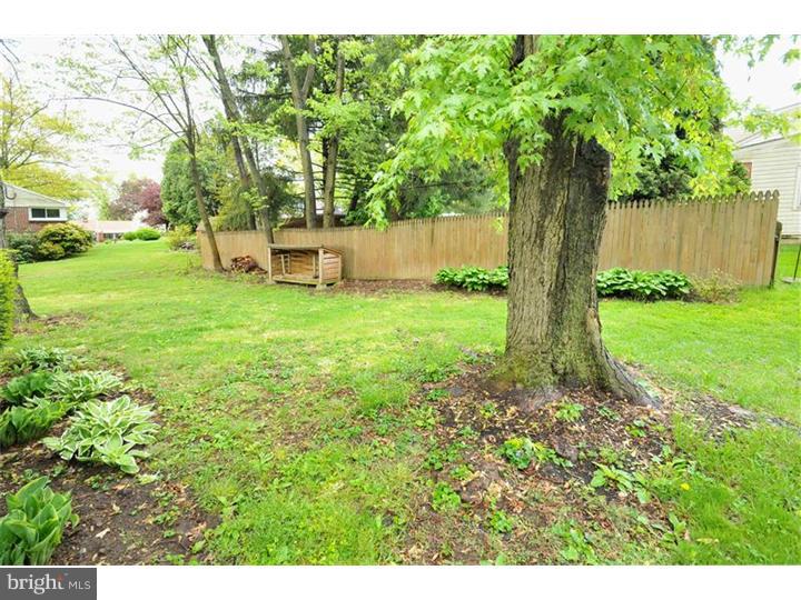 904 Delene Road Rydal, PA 19046 - Photo 21 of 21 Exterior Back