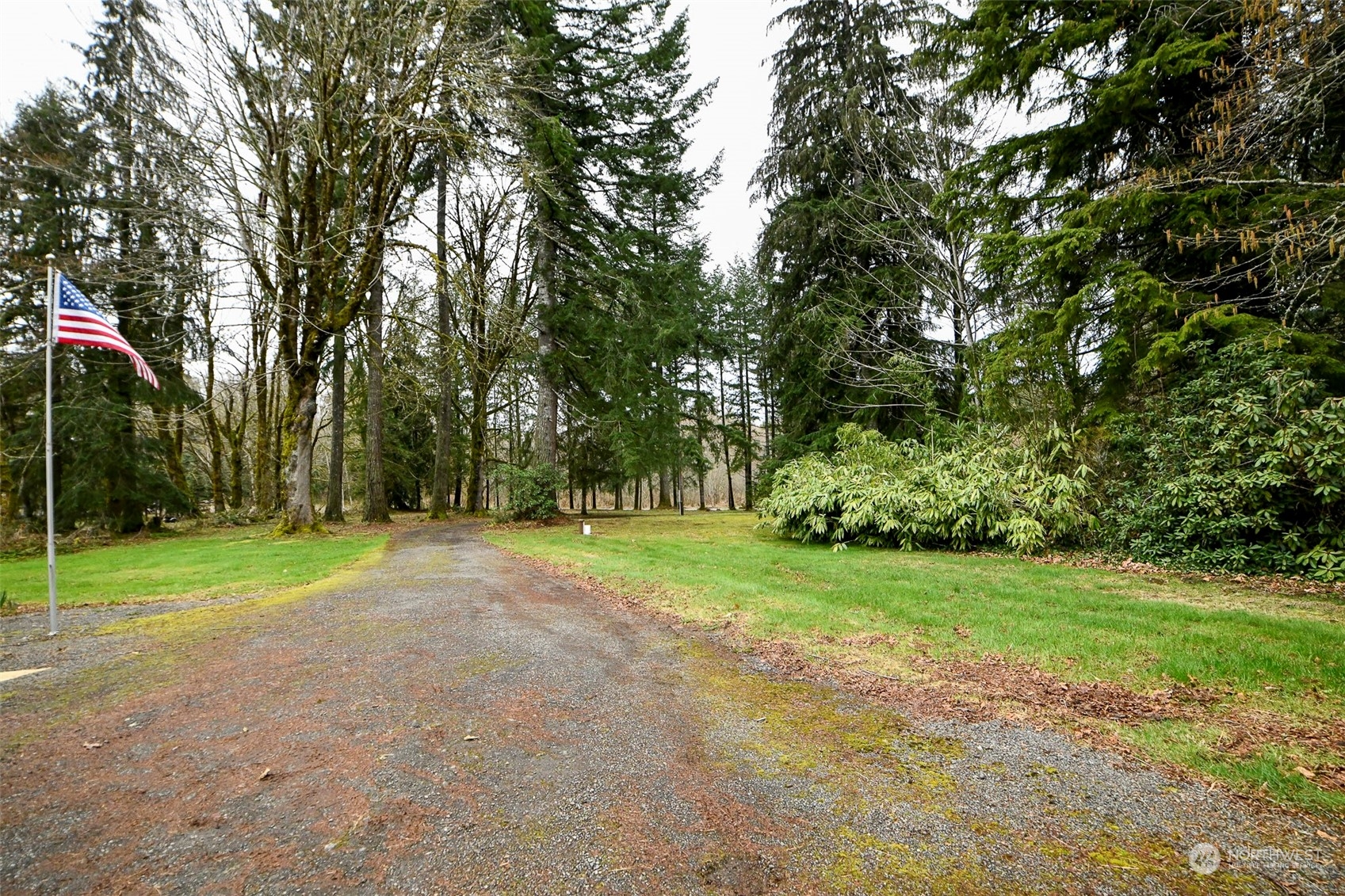 975 Burnt Ridge Road Onalaska, WA 98570 - Photo 20 of 23 Gallery Image 20