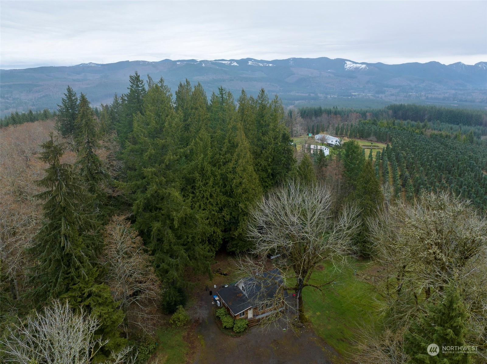 975 Burnt Ridge Road Onalaska, WA 98570 - Photo 22 of 23 Gallery Image 22