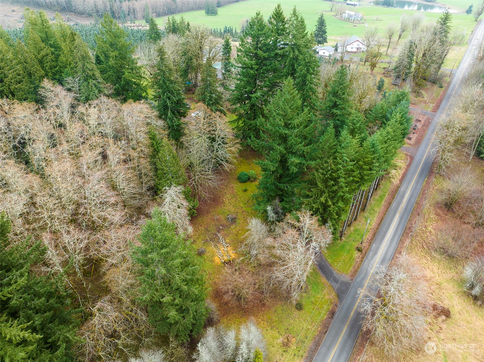 975 Burnt Ridge Road Onalaska, WA 98570 - Photo 23 of 23 Gallery Image 23