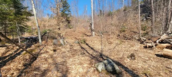 $289,000 | Lot 21 River Road, Avon, ME 04966