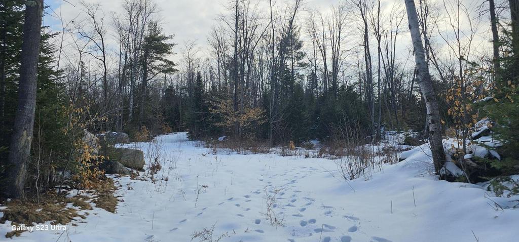 Lot 21 River Road Avon, ME 04966 - Photo 11 of 23 20260326_101432