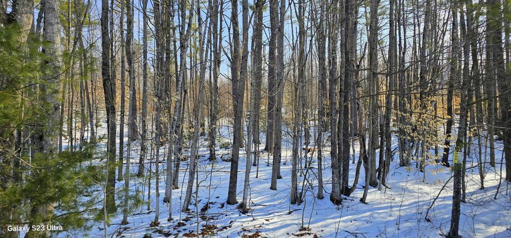 Lot 21 River Road Avon, ME 04966 - Photo 19 of 23 20260326_102022