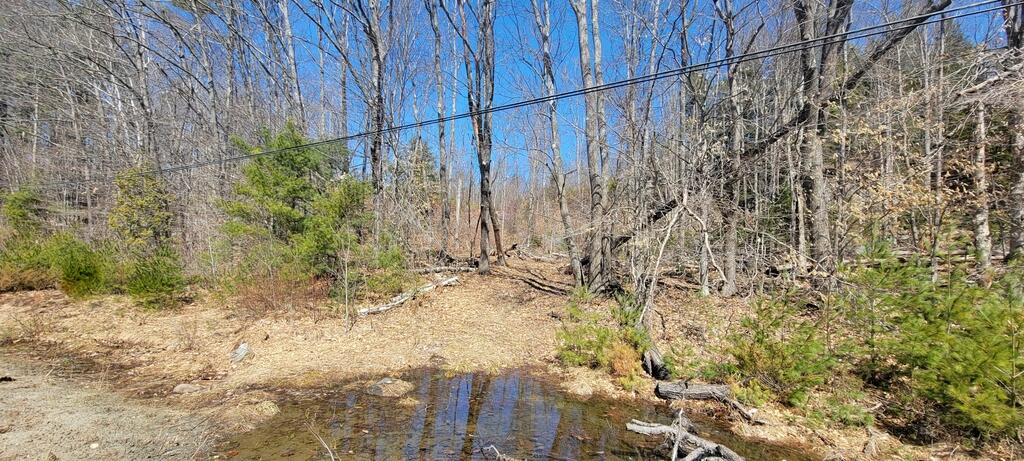 Lot 21 River Road Avon, ME 04966 - Photo 3 of 23 20260409_113134