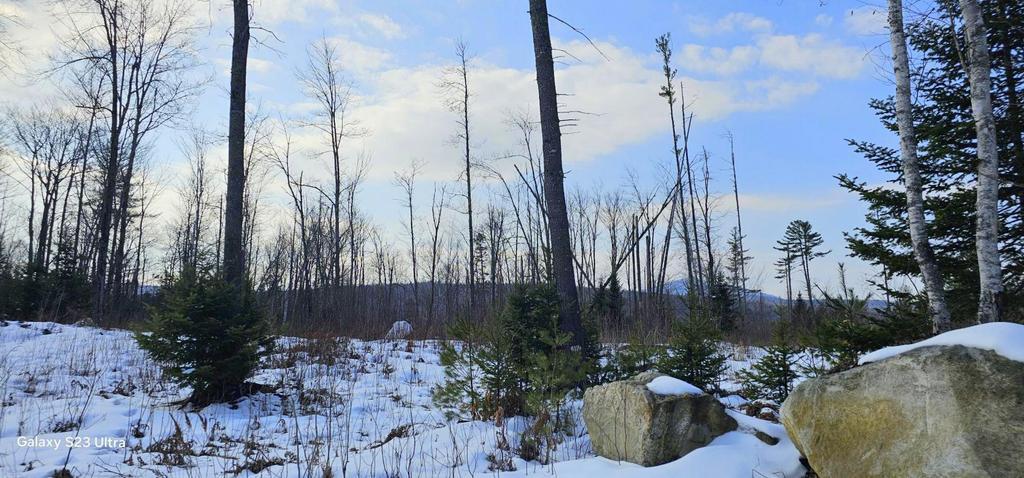 Lot 21 River Road Avon, ME 04966 - Photo 3 of 14 20260326_101458